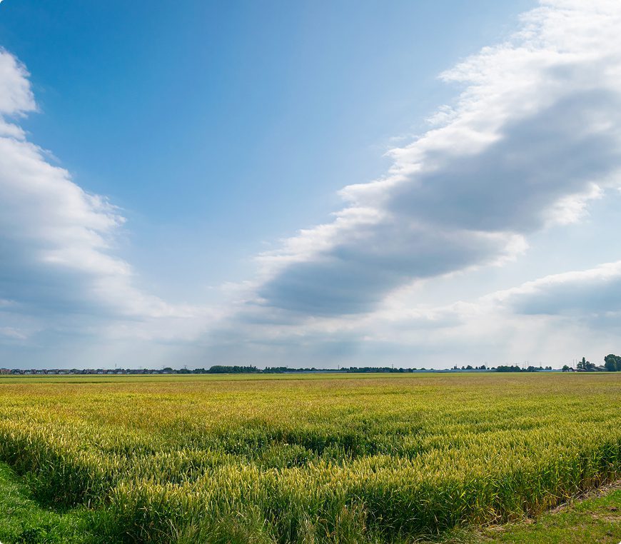 Expansive farmland on a clear day